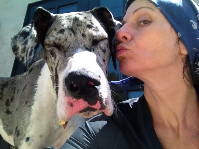 Lily getting a kiss on the nose.
