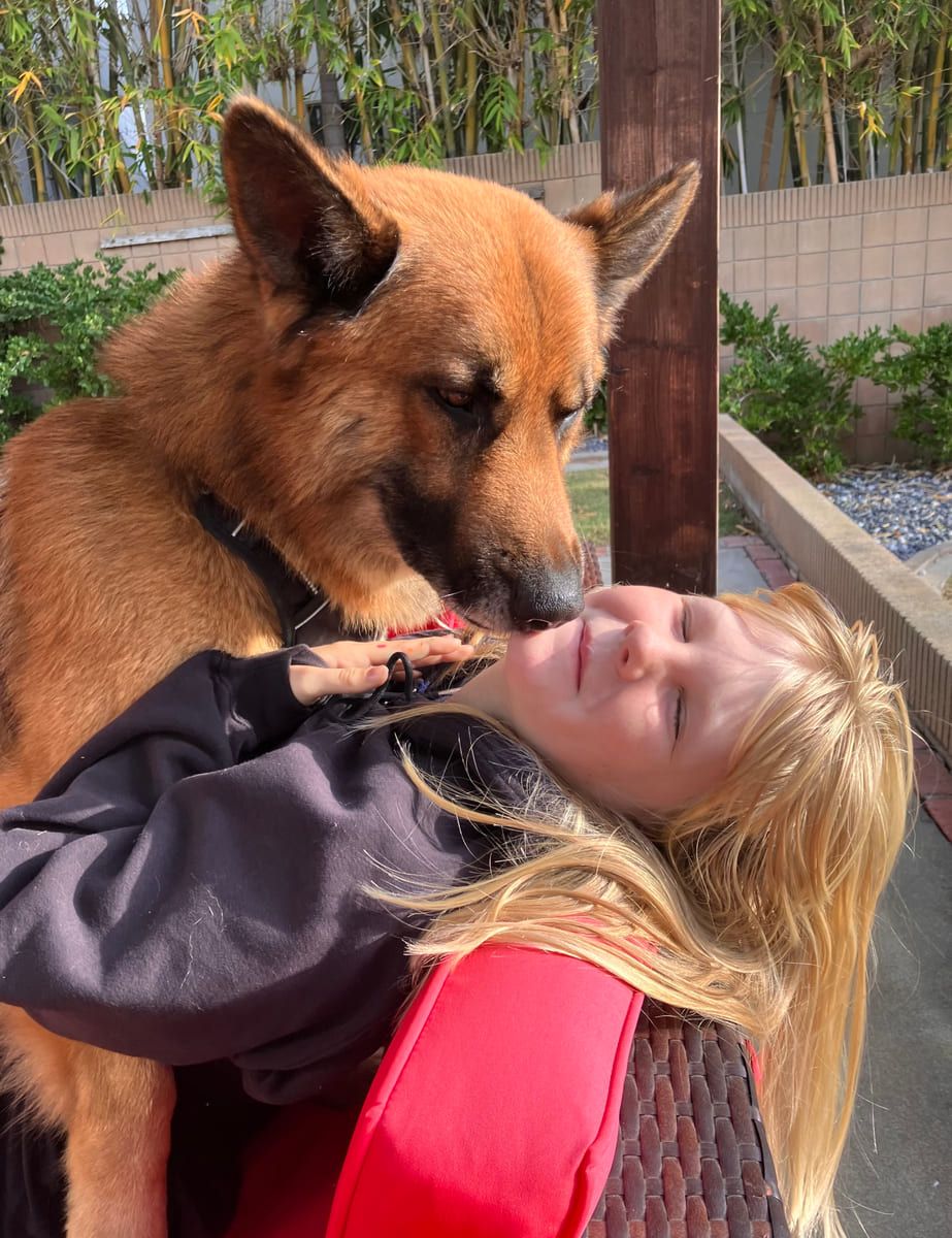 A rescued shepherd nuzzling in close.
