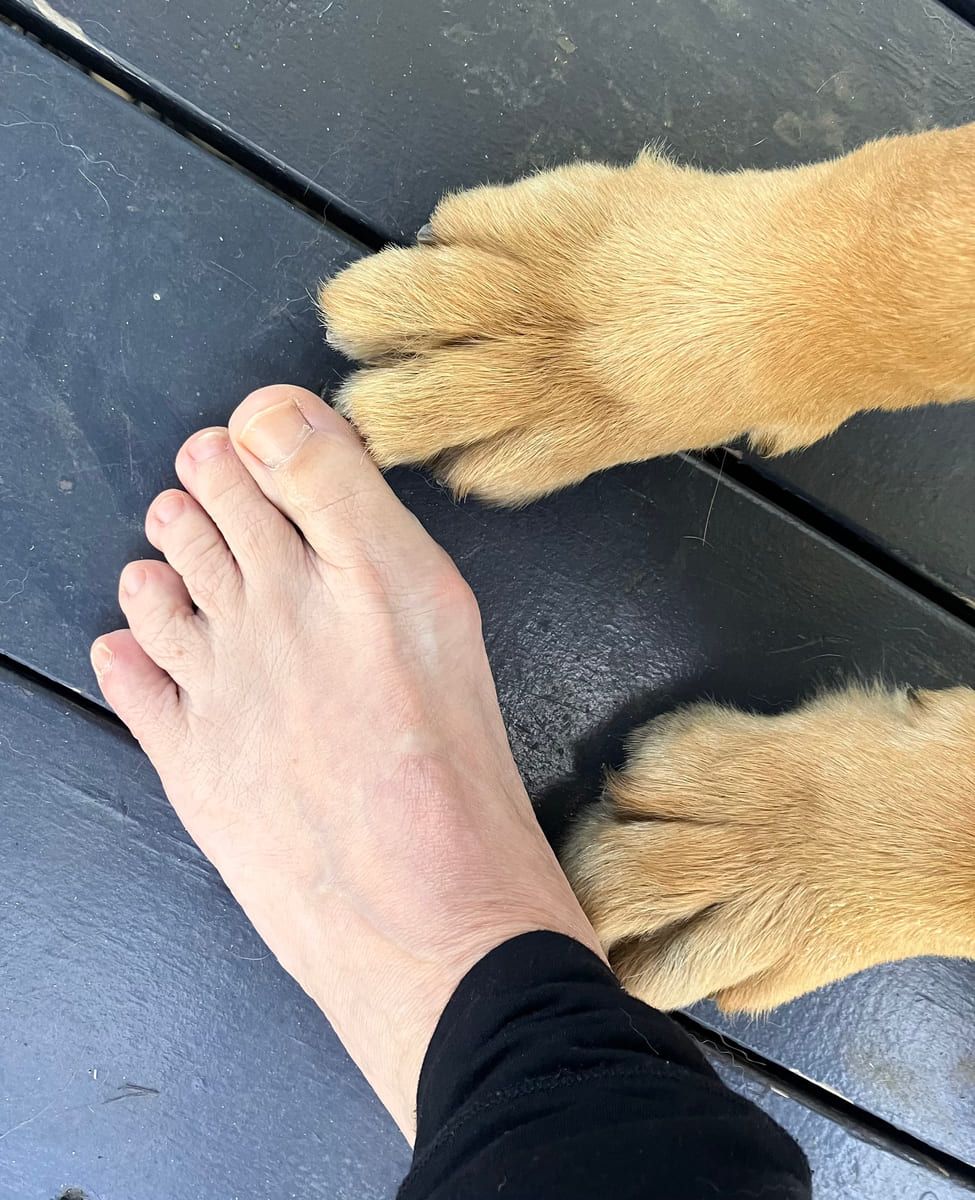 A dog's paw resting alongside a bare foot on a step.