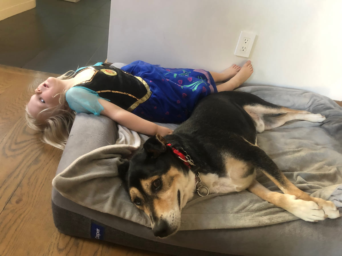 Our daughter resting with two dogs.